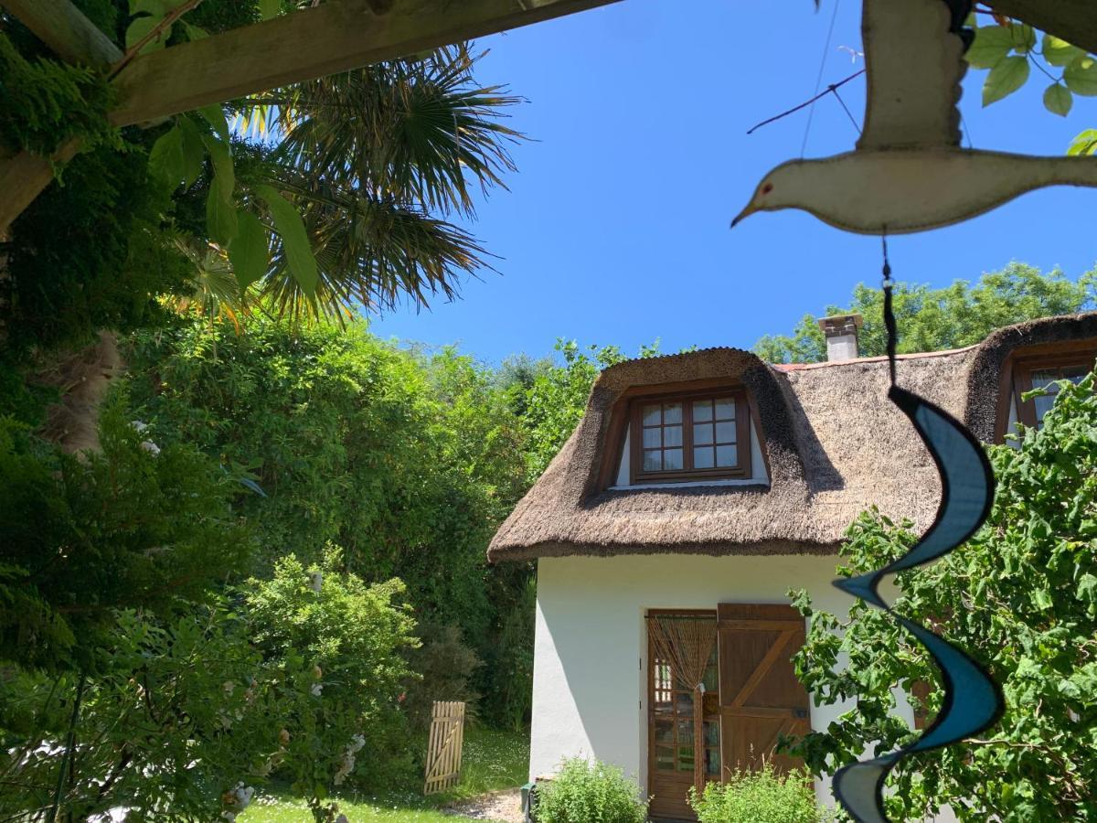 La Flore Marine Saint-Jouin-Bruneval Εξωτερικό φωτογραφία