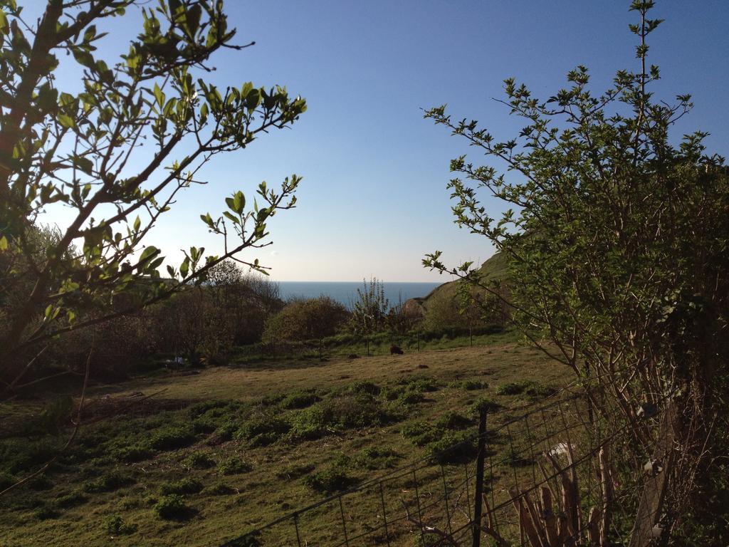 La Flore Marine Saint-Jouin-Bruneval Εξωτερικό φωτογραφία